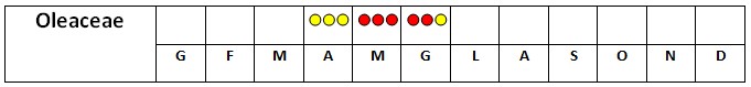 calendario pollinico delle Oleaceae