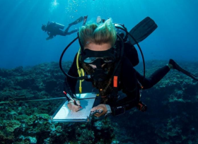 monitoraggio balneazione mare